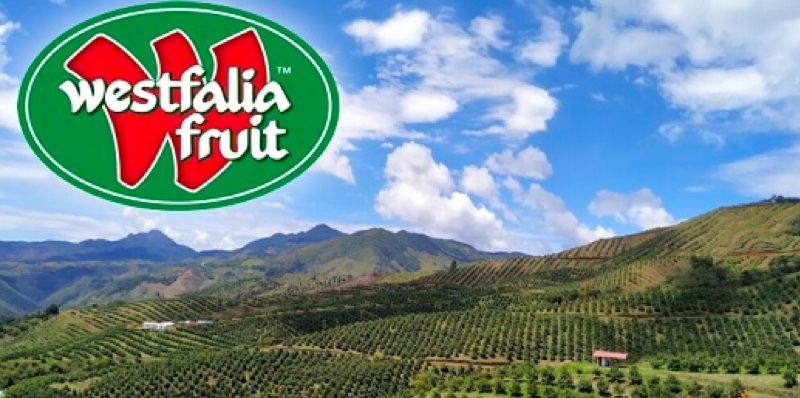 WESTFALIA-FRUIT