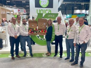 proyecto cofresh unica