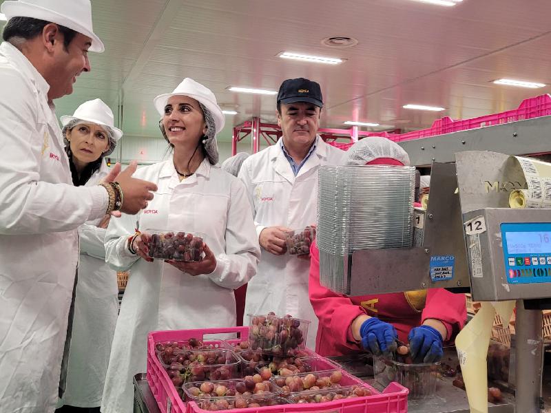 La consejera de Agua, Agricultura, Ganadería y Pesca de Murcia, Sara Rubira, durante su visita a las instalaciones de la empresa Moyca