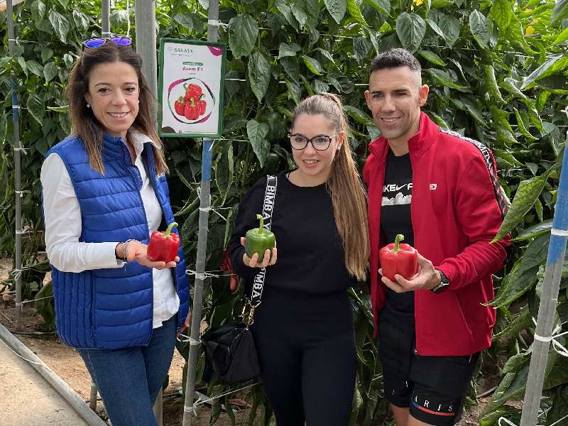 sakata pimiento asem