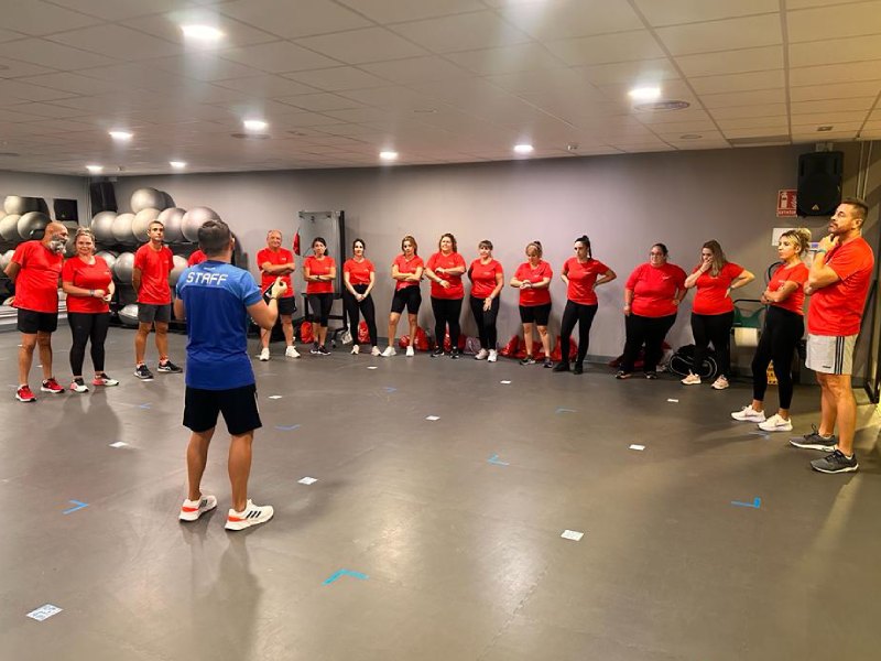 vicasol programa embajadores