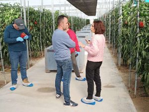 Arkane jornadas pimiento top seeds en nijar