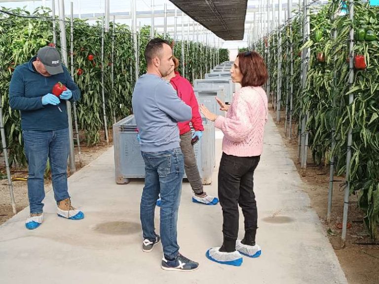 Arkane jornadas pimiento top seeds en nijar