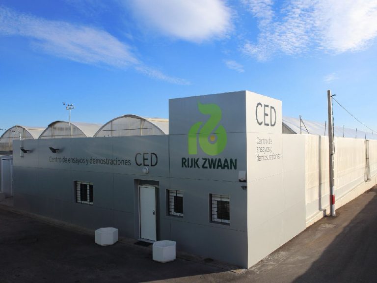rijk zwaan ced el ejido
