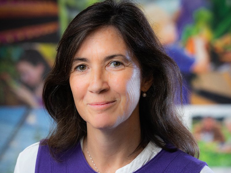 silvia cifre basf nunhems