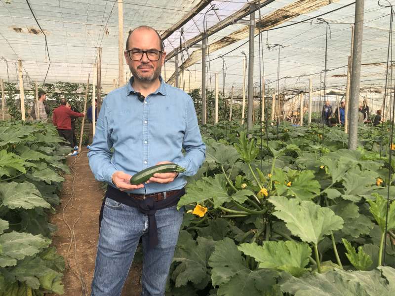 syngenta antonio gutiérrez calabacín Delfos ND