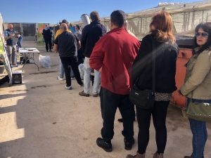 syngenta jornada calabacín Delfos ND