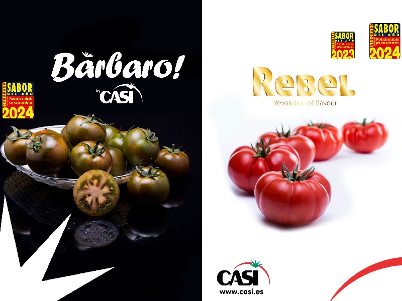 CASI Sabor del año 2024