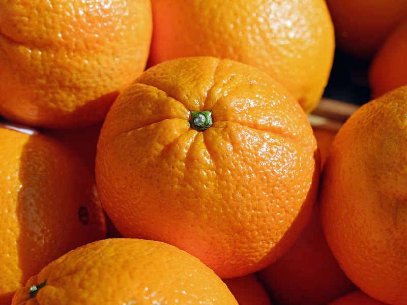 Naranjas foto asaja almeria