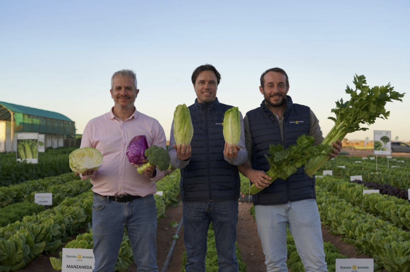 ramiro arnedo lettuce week