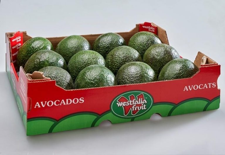 AVOCADO