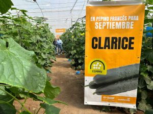 BASF NUNHEMS PEPINO FRANCES jornadas campo Clarice
