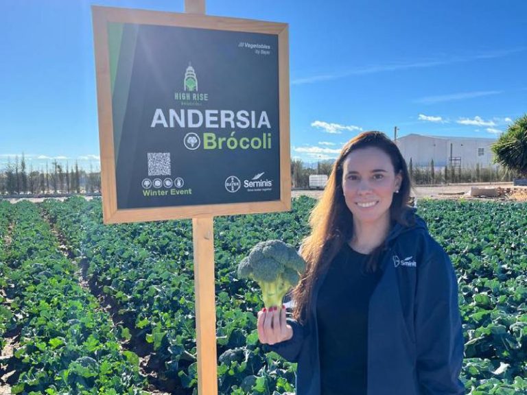 Seminis brocoli andersia melissa diquez