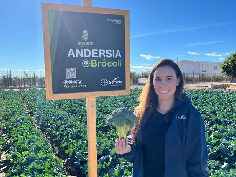 Seminis brocoli andersia melissa diquez