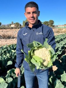 Seminis coliflor suertex jose guirado
