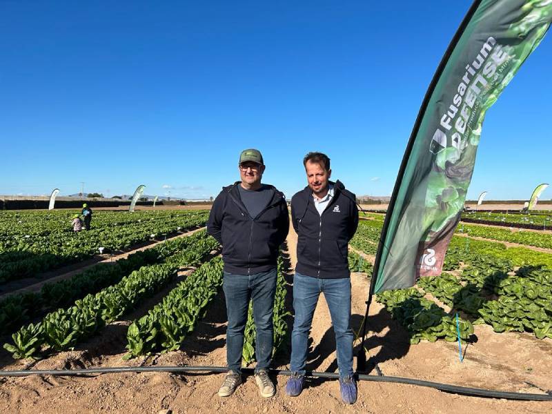 rijk zwaan Winter Open Field Days event 2024 jose luis saiz y andrés román re