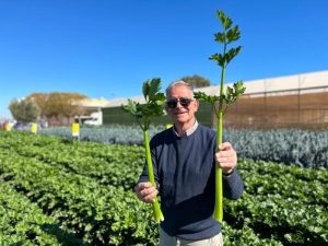 rijk zwaan santiago gastón de iriarte con apio