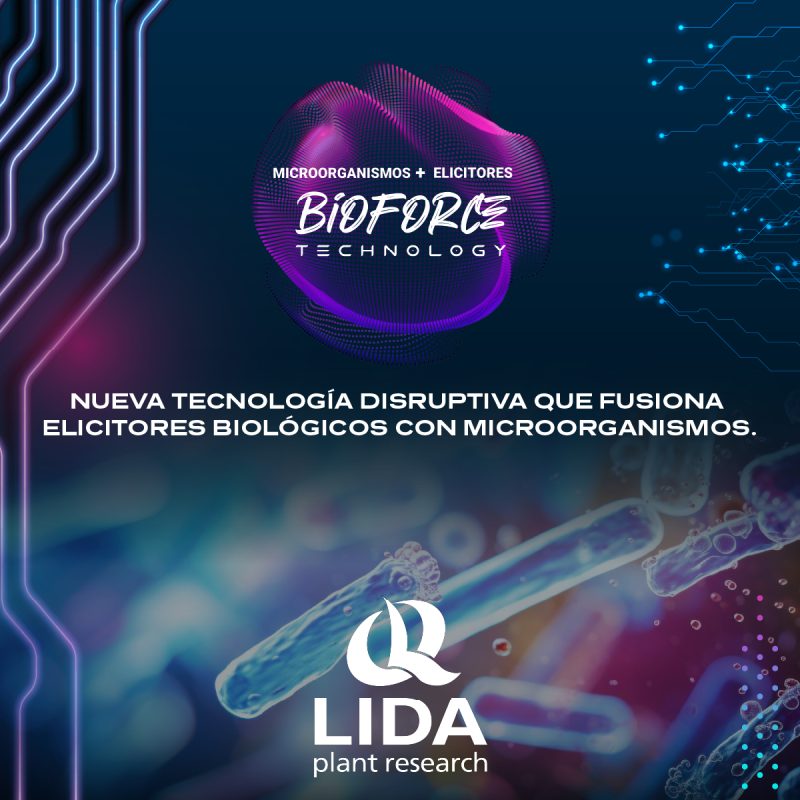 BIOFORCE Technology: la nueva línea de la biotecnológica LIDA Plant ...