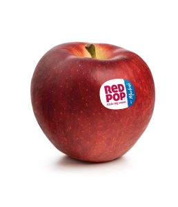 RedPop3