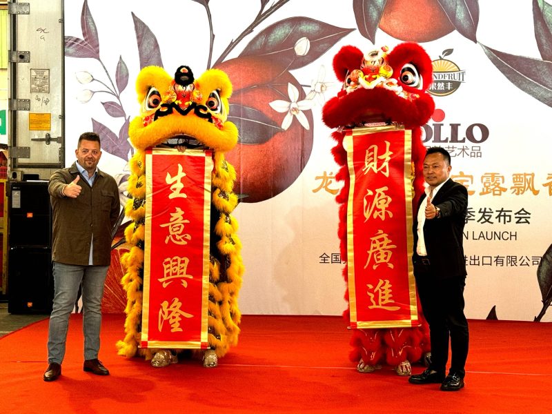 citricos bollo en china