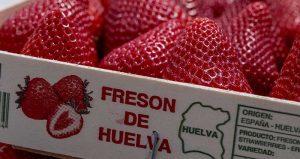 ADH-yo-como-fresas-de-Huelva-image00003