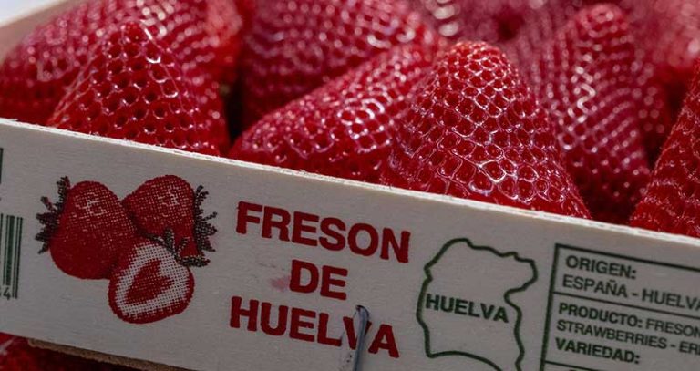 ADH-yo-como-fresas-de-Huelva-image00003