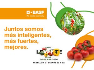 BASF NUNHEMS expolevante tomate rugoso