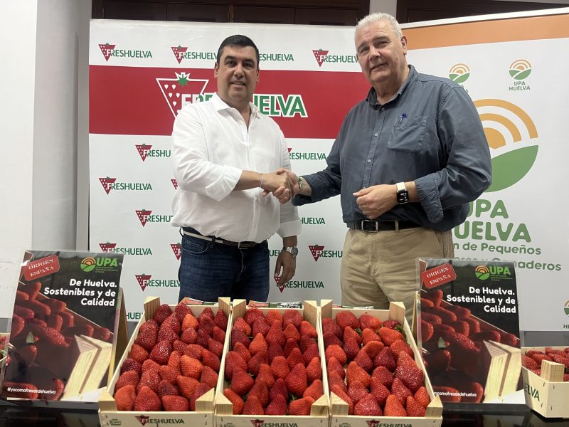 Freshuelva_UPA