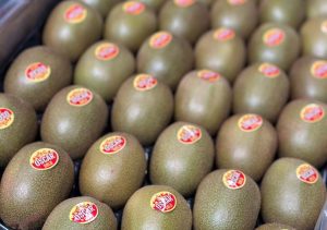kiwi Primland gold