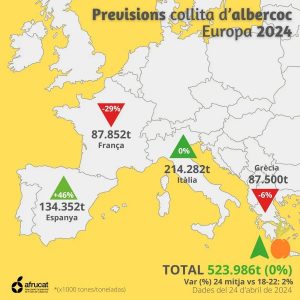 albaricoque_europa