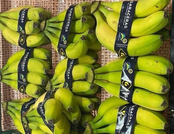 europlatano