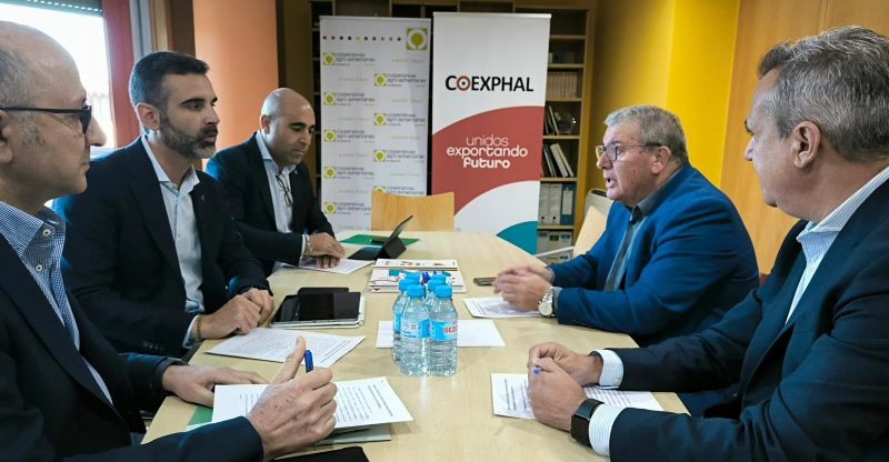 Fdez-Pacheco Coexphal2