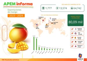 Informe Mango Perú Campaña 23