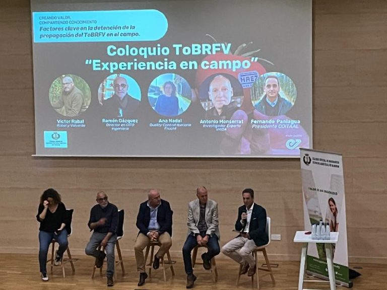 enza zaden charla rugoso PITA