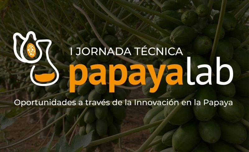 papayalab