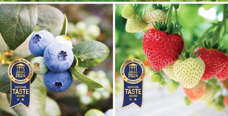 05. ITI award tiles_NEW