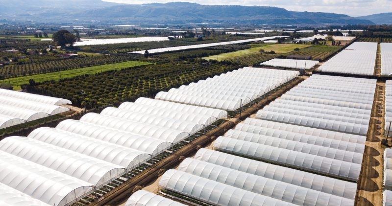 Agrofilm Lirsa_Arrigoni 1