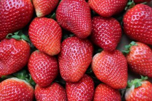Fresas