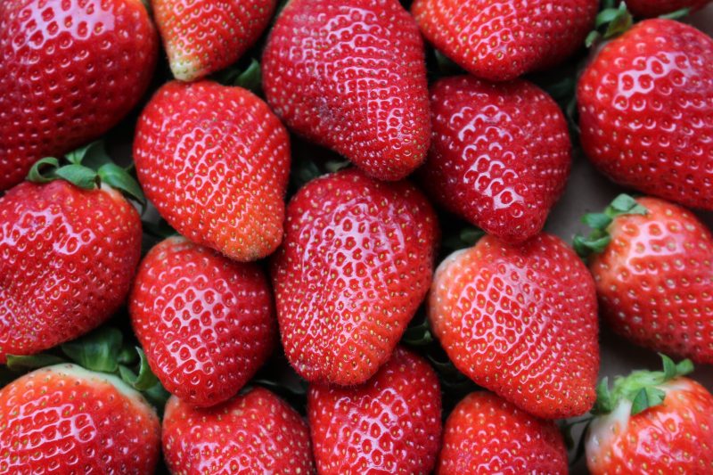 Fresas