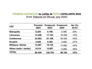 Gráfica campaña pera cataluña afrucat 2024