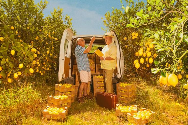 Limonar de Santomera, premiada por su campaña 'El pueblo que sonríe al limón' (2)