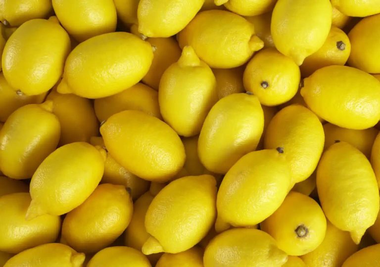 aranceles-importaciones-limones