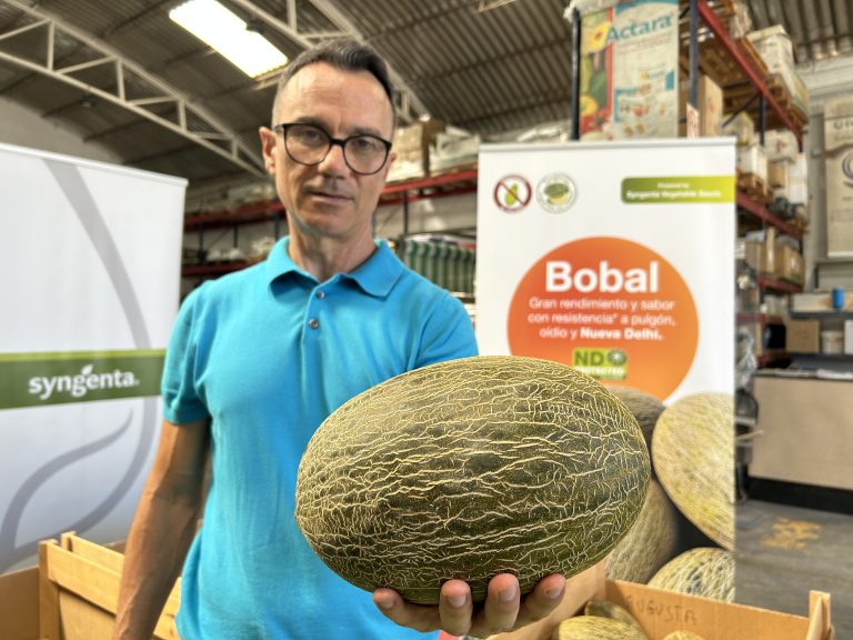 Alfonso Sánchez Syngenta