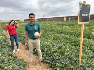 BAYER SEMINIS Nuevo charentais MELON WEEK 2024