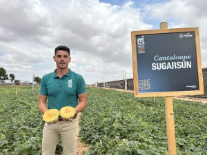BAYER Seminis Jose Guirado Sungarsun MELON WEEK 2024