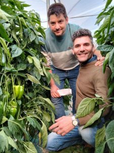 CAPGEN SEEDS ITALIA
