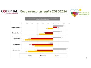 Datos campaña tomate 2023_2024 Coexphal