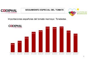 Datos importación española tomate marroqui 2023_2024 Coexphal