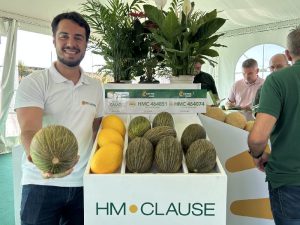 HMCLAUSE Melón Murcia 2024 José Miguel Reyes