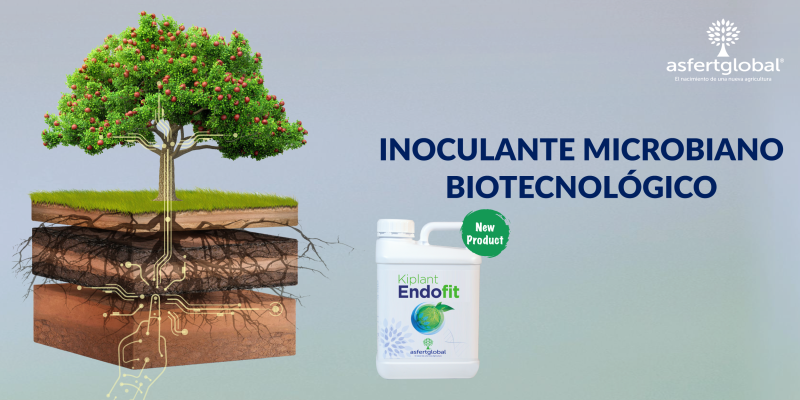 Kiplant Endofit PR es2